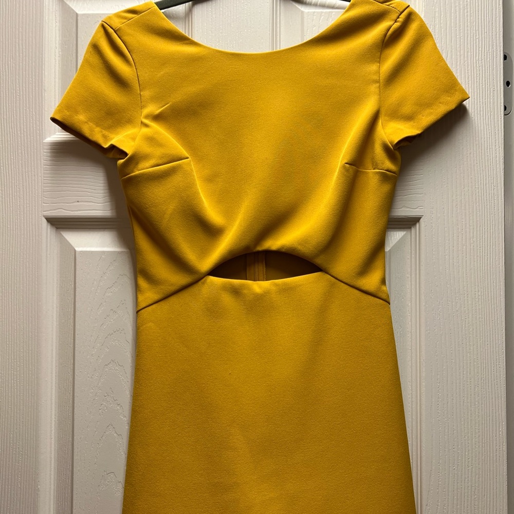 Zara Jumper/ dress